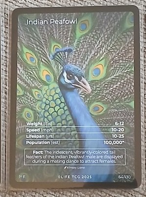 Life Tcg BIRDS 64F Full Art Indian Peafowl