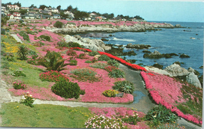 Lovers Point Pacific Grove Monterey Peninsula California Ocean View Postcard