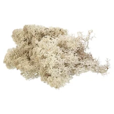 3.5 OZ Fake Moss Preserved Reindeer Moss Artificial Moss Lichen Natural