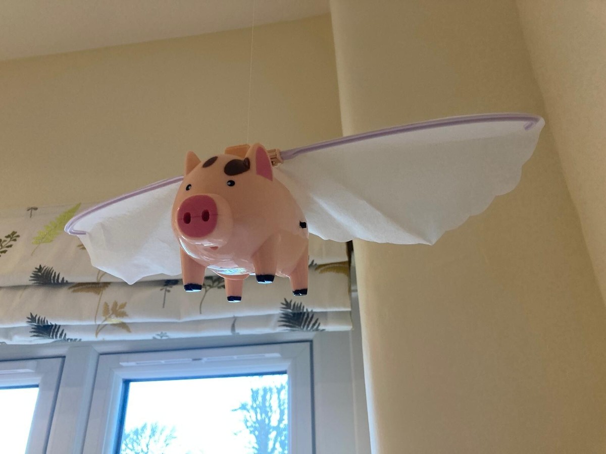 DY TOYS Flying Pigs, Pig per box Ages 3+ Battery Operated - Main Image