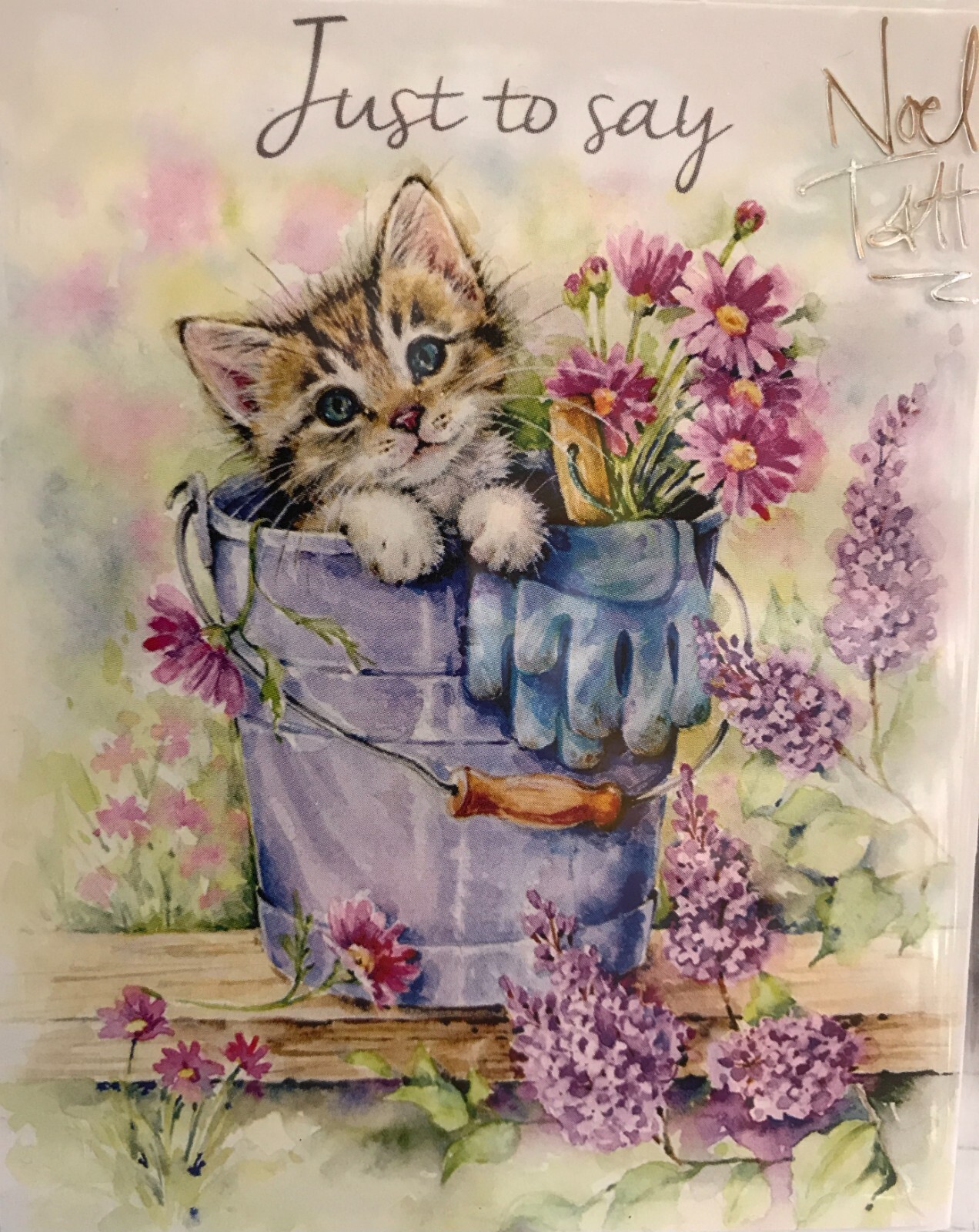 Noel Tatt Pack Of 4 Small 'Just To Say' Greeting Cards - Lovely Artistic Design With Cute Hedgehog In A Flowerpot - 4 Cards Of 1 Design