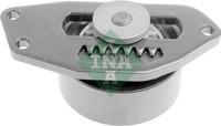 INA Multifr. Riemenspanner Citroen