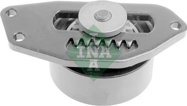 INA Multifr. Riemenspanner Citroen-image