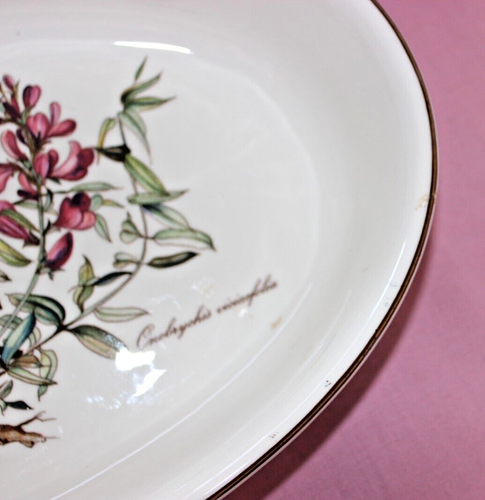 VILLEROY BOCH V&B Botanica Onobrychis vicioefolia Auflaufform oval 29x19cm 74360 - Picture 8 of 9