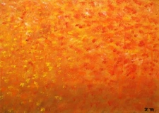 Impressionist Orange Forest - garden trees signed original modern oil painting