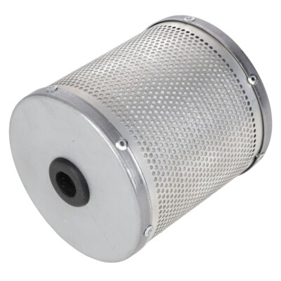 Agco 830910M92 Ferguson TO20 TE20 Oil Filter w/ Gasket