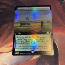 Windswept Heath X1 Mtg Modern Horizons 3 Nm Foil Extended Art