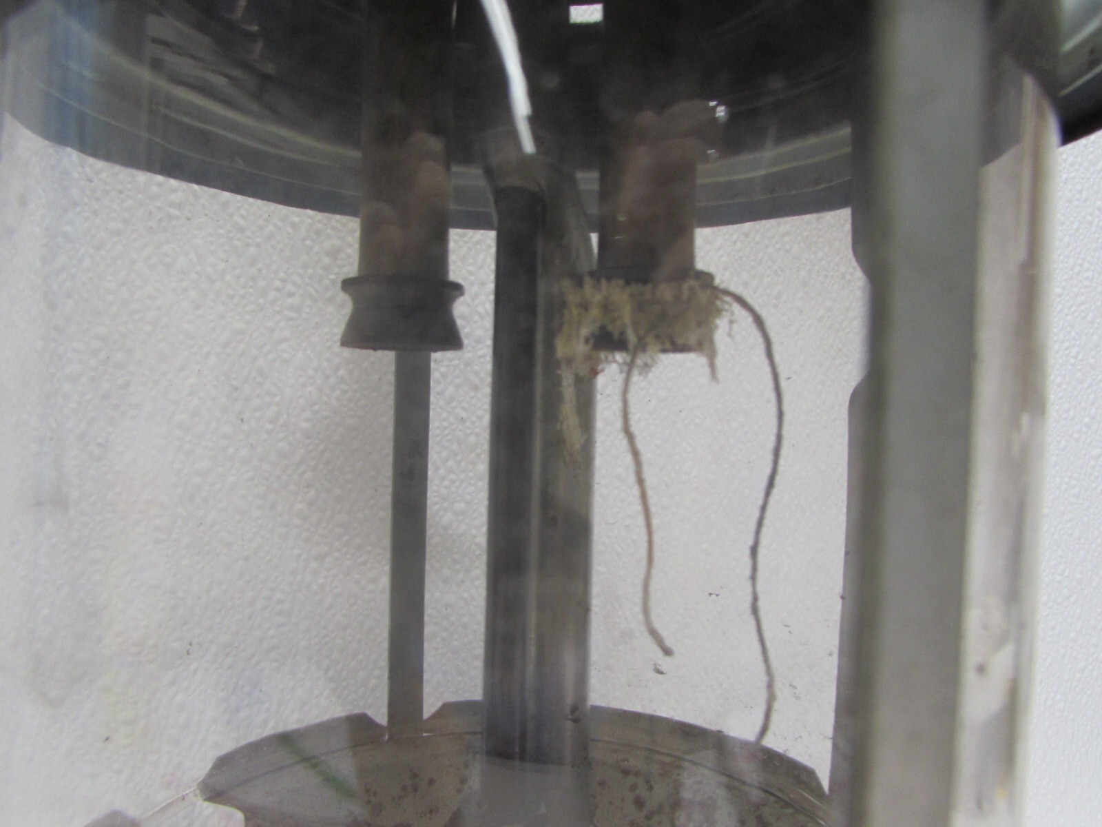 Vintage 1972 Double Mantle 220F Coleman Lantern Green Camping Made in USA