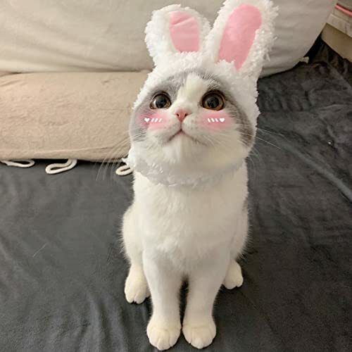 Cat Cute Bunny Ears Rabbit Hat with 