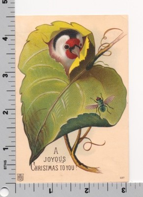 Victorian Christmas Card - Bird Pops Through Leaf - Publisher HMP 137