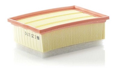 For MANN FILTER C 25 117/2 AIR FILTER