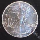 1987 American Eagle Toned Walking Liberty Bullion Vtg-0.999 Silver 1 Oz Coin 1x