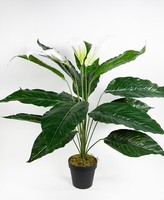 Spathiphyllum Real Touch 70Cm Mit 3 BlüTen Im Topf Zj Kunstpflanzen Kunstblumen