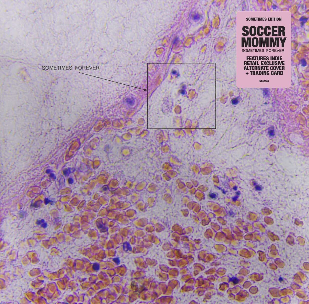 Soccer Mommy Soccer Mommy: Sometimes / Forever (Alternate Cover) (Indies) (CD)
