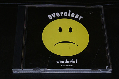 Everclear Wonderful CD Single ExCon Father Of Mine Remix 1st Press 2000 Your Tme