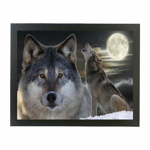 Weiß grau heulender streifender Wolf Kissen Laptop Runde Abendessen Tablett Geschenk - Bild 5 von 7