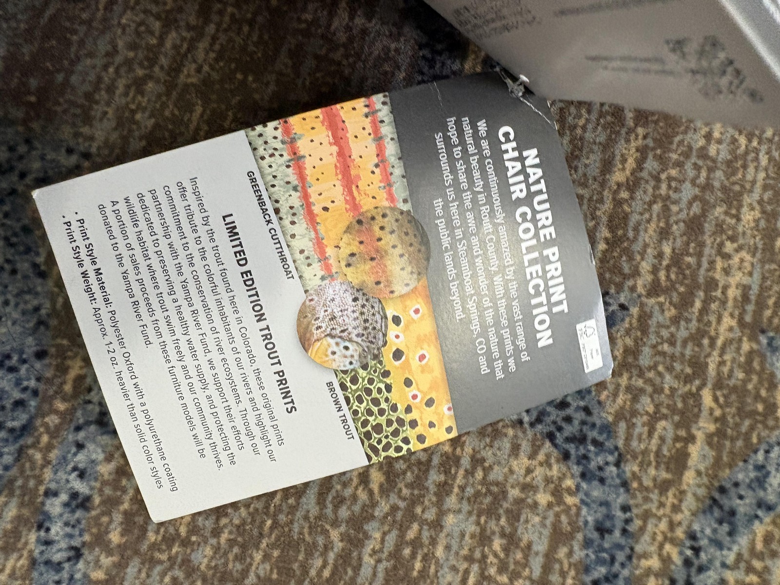 Big Agnes Big Six Armchair Nature Print Trout Camping Chair Packable Lightweight