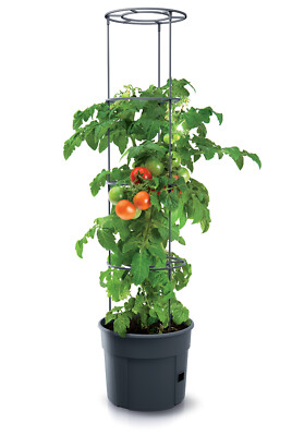Tomatentopf Tomatenpflanzen Pflanzkübel Schutzfolie 12L Tomato Paprika Gurken