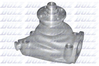 Wasserpumpe, MotorküHlung Dolz P318