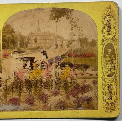 The Public Garden in Boston: Vibrant Flowers, Monuments, & Fountains Stereoview
