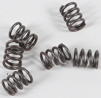 EBC CSK21 Clutch Springs CSK21