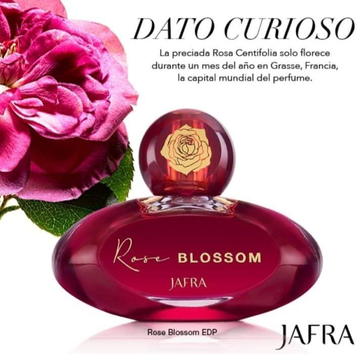 ROSE BLOSSOM (FLORAL SCENT) EAU DE PARFUM 1.7 FL.OZ BY JAFRA NEW- SEALED BOX 📦