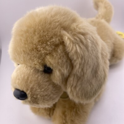 Miyoni by Aurora Golden Yellow Lab Labrador Retriever Dog 11