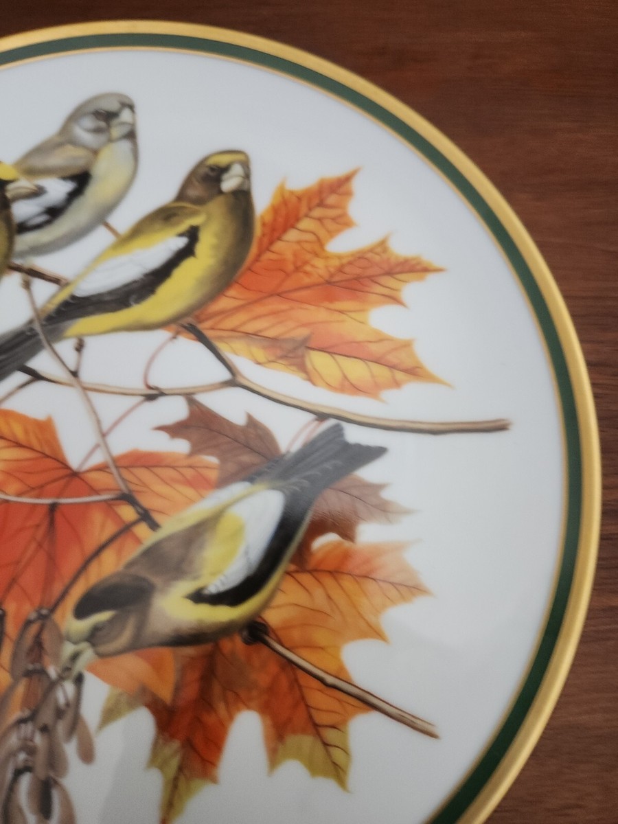 National Audubon Society Woodland Birds of the World Evening