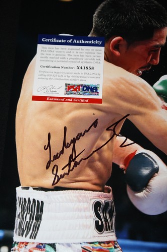 Leo Santa Cruz signed 11 x 14, WBC World Champ, IBF, PSA/DNA X41858 - Picture 2 of 2