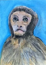 Painting Aceo Original Monkey By Kenna 2.5” X 3.5” Signed