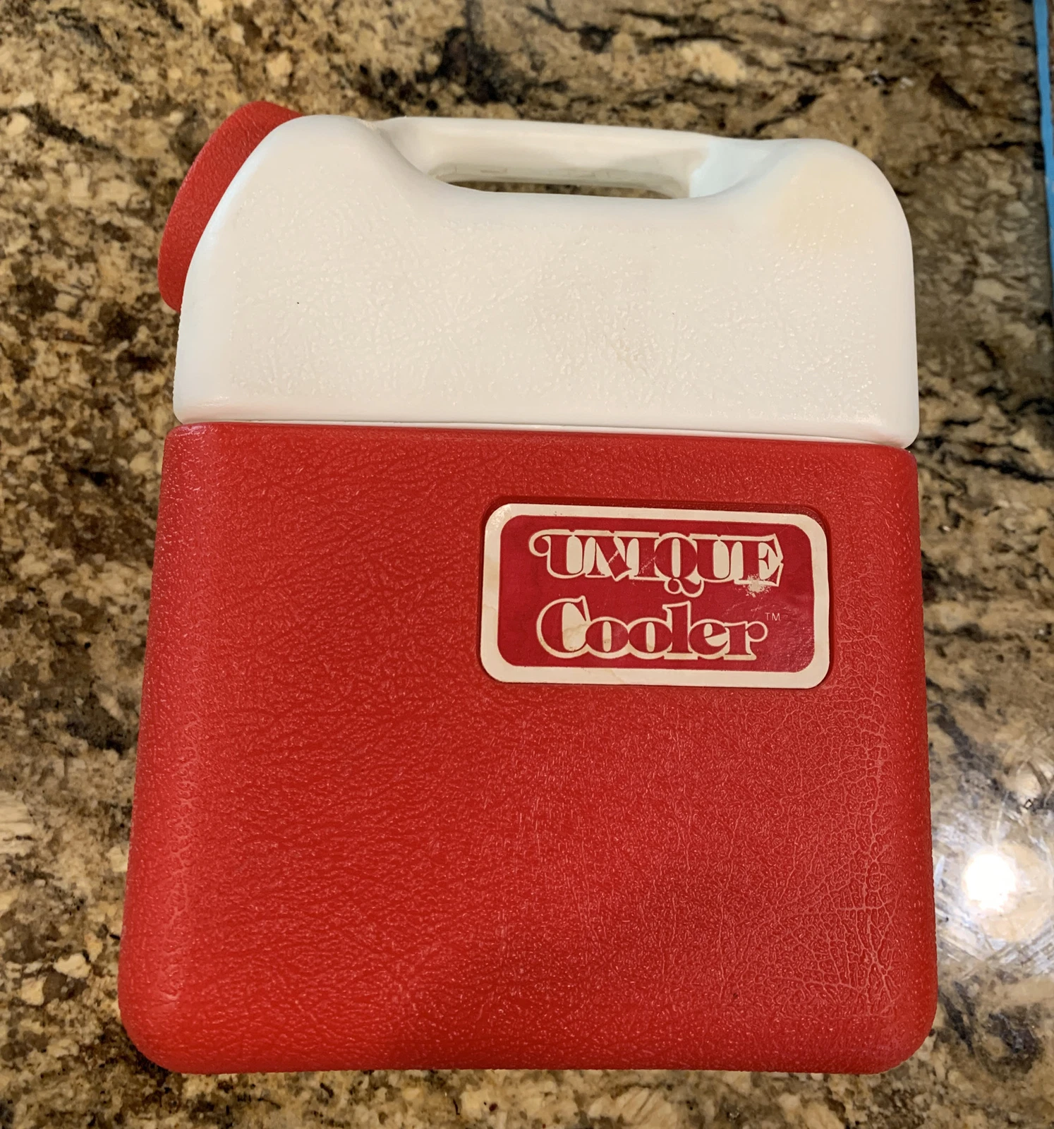 Vintage Unique Cooler Lunch Box/ Drink Container