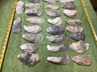 Lot of 36 Atlantic Oyster Shells 6.5 To 4.5 Inch Long Craft Art — photo 2
