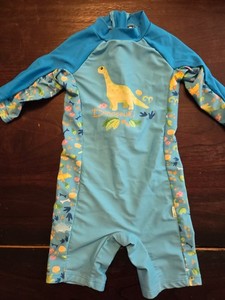 12 - 18 Month Boys Dino Swimsuit