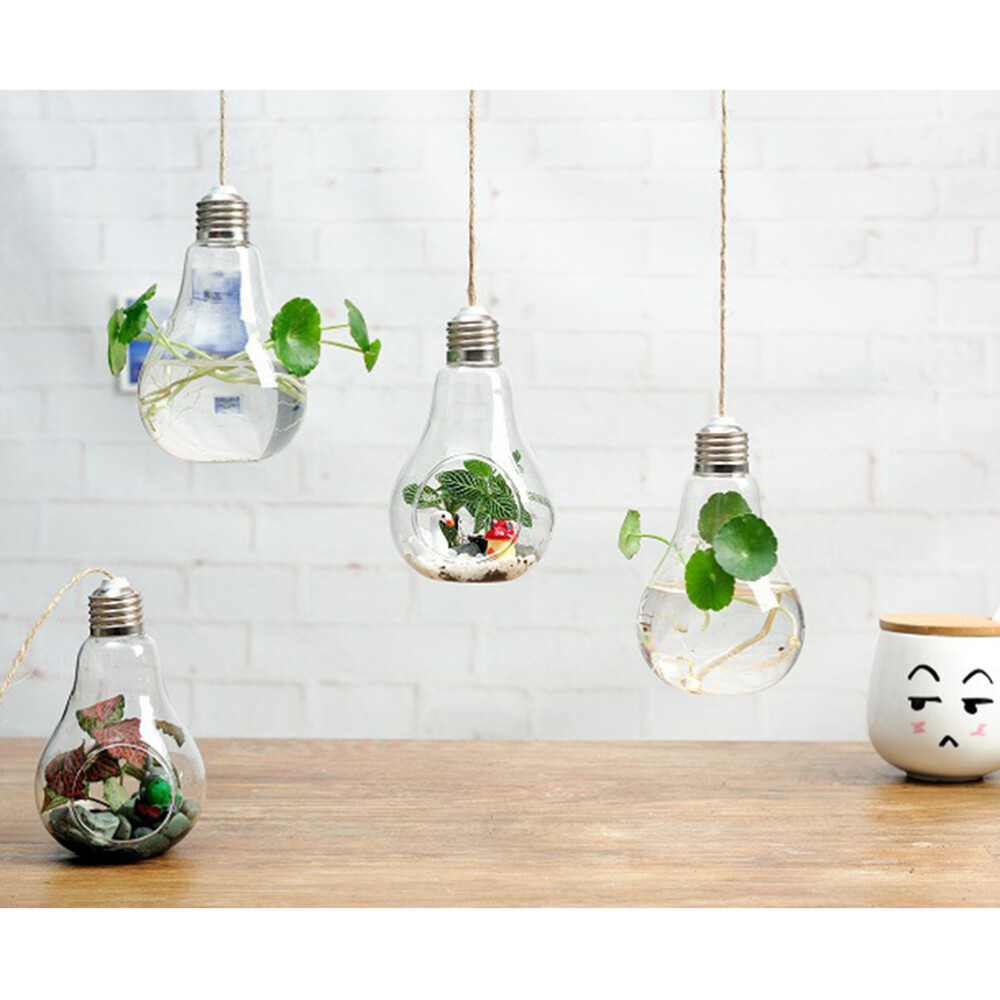 Hanging Glass Globe Planter for Succulents or Air Plants - Lightbulb Orbs  