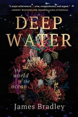 James Bradley Deep Water (Taschenbuch)
