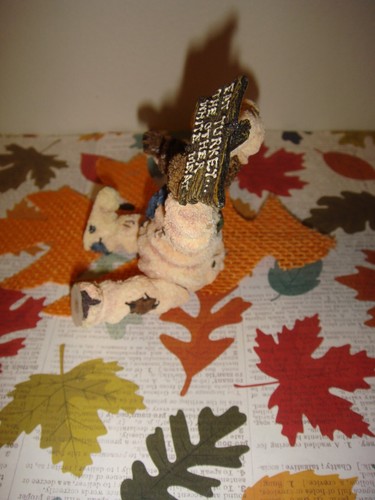 Boyds Bears Pigadilly Honeyglaze Don't Pig OutShoe Box Bears - Bild 3 von 10