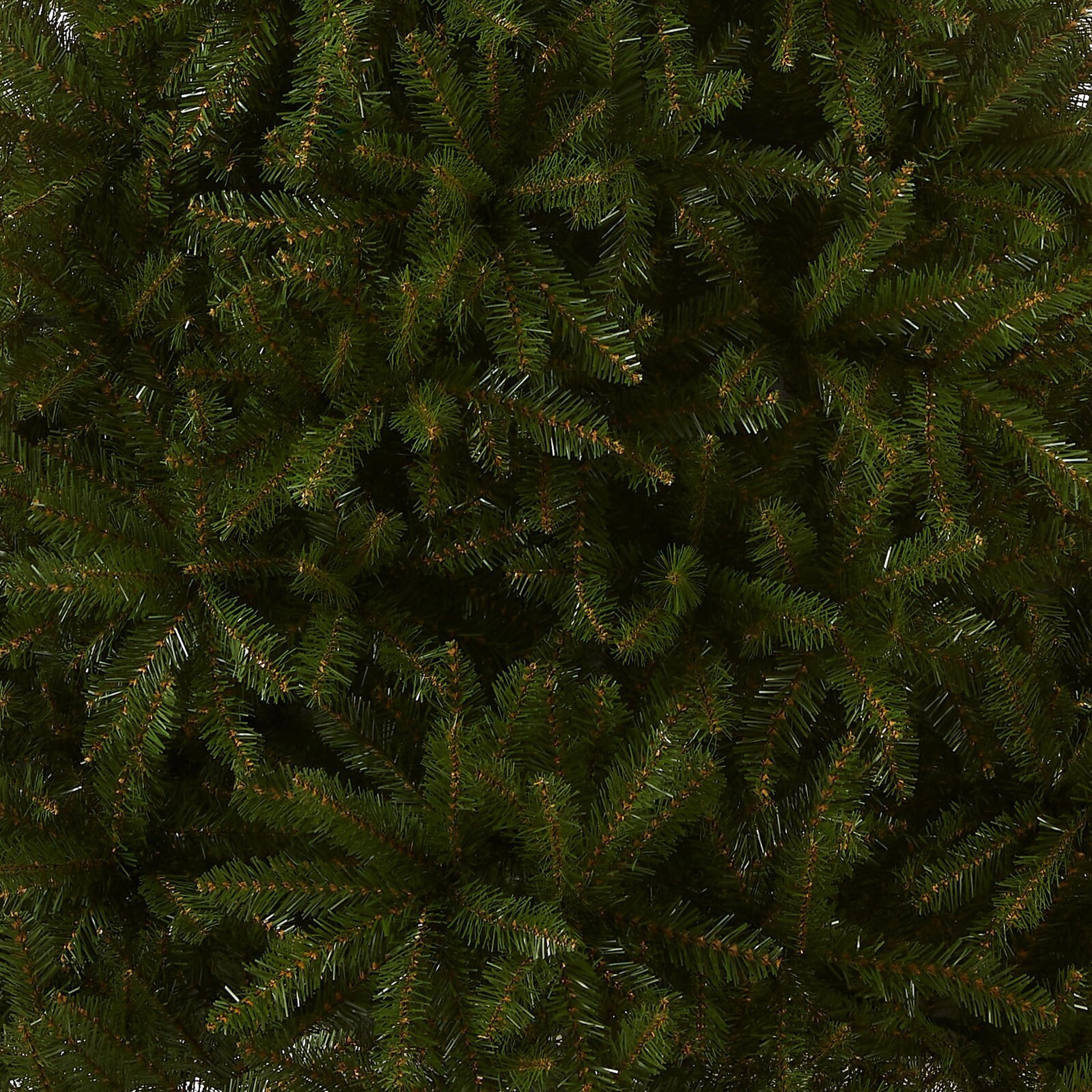 Picture 4 of 6