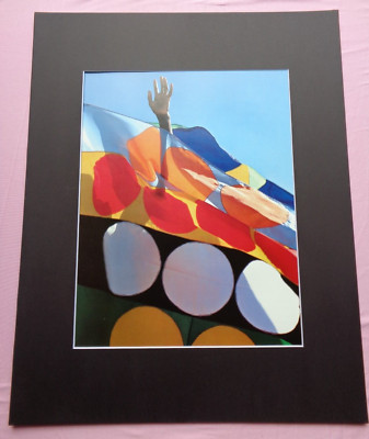 Elaine Shipman flags Anders Holmquist Right to Left Film Dance Art Print Matted