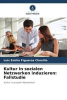 Luis Emilio Figueroa Chonillo | Kultur In Sozialen Netzwerken Induzieren:...