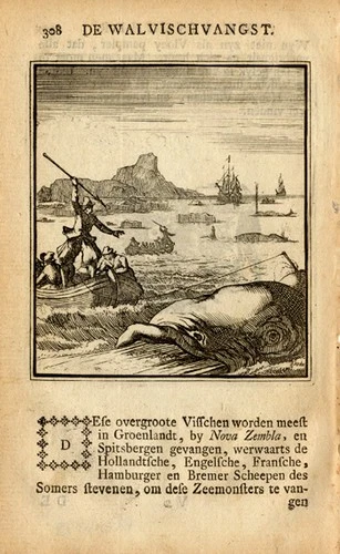 Antique Profession Print-WHALING-WHALE-St.Clara-1758