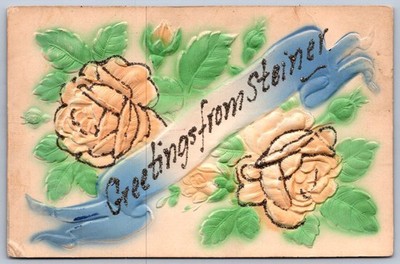 K53/ Greetings from Steiner Michigan Postcard c1910 473
