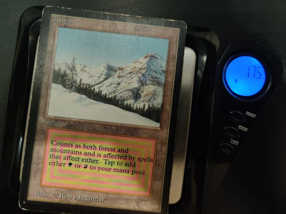 Beta Taiga DMG-HP x1 MTG Magic: the Gathering - Image 4 of 4