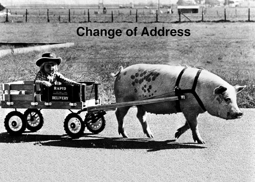 MOVING ANNOUNCEMENTS -Set of 10- Change of address postcards 222CA