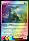 x1 Prairie Dog Otj Mtg 24 Foil Uncommon M/Nm 1x