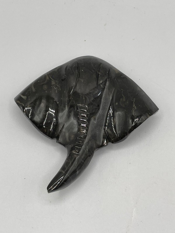 Marble Stingray Magnet In Dark Green Small In Great Condition