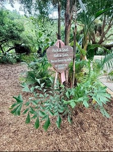 Wood Heart Wedding Sign Hanging Brown/White "Pick a Seat, Not a Side"