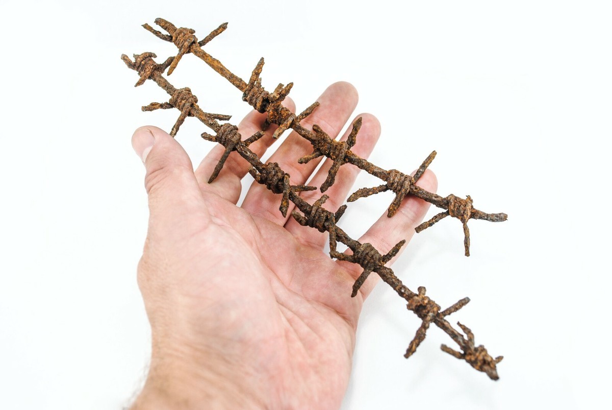 WW1 Barbed Wire (Rusty relic) - WWI German Militaria Original