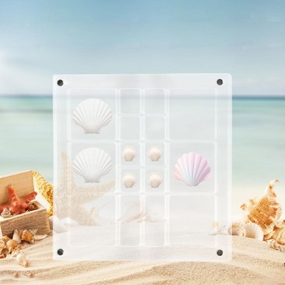 Acryl-Muschel-Display-Box 5,6x5,6 Zoll 18 Gitter für Schmuck Nagel