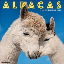 Alpacas 2026 12 X 12 Wall Calendar (Calendar)