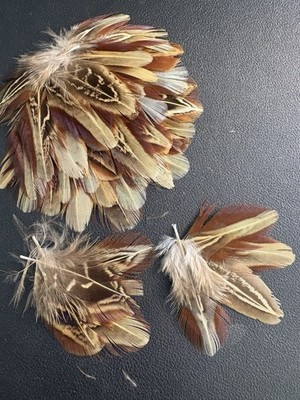 50pcs Ringneck 5cm Pheasant Plumage Natural Feathers DIY Craft Fly Tying Boho
